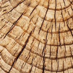 Indoor/Outdoor Faux Concrete Stump Accent Table Brown - Threshold™ Designed With Studio McGee -HOMES: Inside + Out Store GUEST 03deabfd 2b62 4725 94b4 09a321ea8678