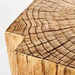 Indoor/Outdoor Faux Concrete Stump Accent Table Brown - Threshold™ Designed With Studio McGee -HOMES: Inside + Out Store GUEST 0507ce42 1b4d 418a 858c 11fe1ac459fe