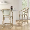 Parksley Rattan And Woven Counter Height Barstool White - Threshold™ -HOMES: Inside + Out Store GUEST 0eebe2e2 8609 4688 a9ee c54ebc99e56e