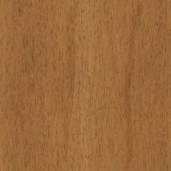 2pk Timo Dining Chair Cream - Threshold™ -HOMES: Inside + Out Store GUEST 5d779e0e 0b3d 4661 9e88 19bec517fd72