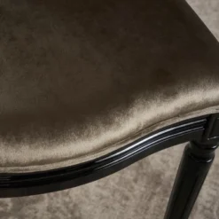 Set Of 2 Camille New Velvet Dining Chair - Christopher Knight Home -HOMES: Inside + Out Store GUEST bd521db8 c34c 422f 945d 27024754d1a3